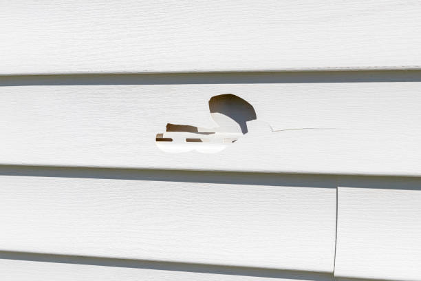 Affordable Siding Repair and Maintenance Services in Port Angeles East, WA